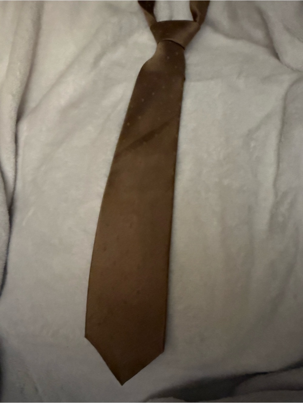 Vintage Wembley Solid Brown Men's Tie - Sleek Formal Neckwear